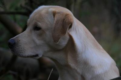 Living Out Of Pondcastle