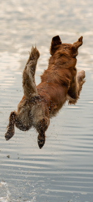 Loch Katrine van Obergums Hand