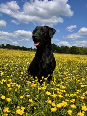 Deep Lake Xitlaly Liv