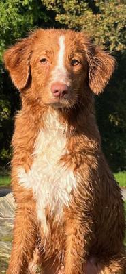 Xavanna Hannah of Great Pleasure