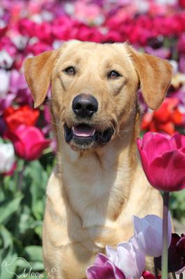 DCI Tom Mathias v.h. Haesdal