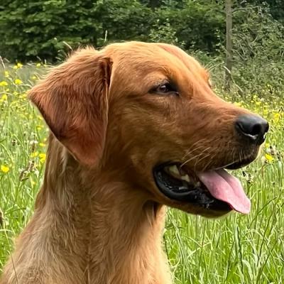 Think Twice X-Ceeds The Limit