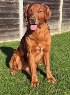 Convallich Dochart At Auchencloch