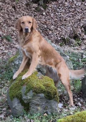 Oceanside of Gina's Home