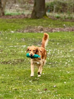 Guardians of Happiness Atlana