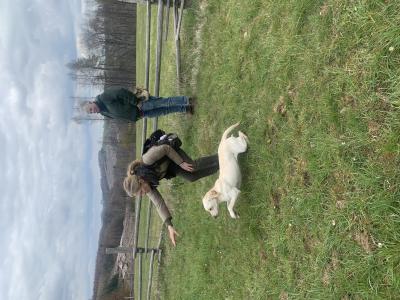 Ballantrae’s Single Malt Dana