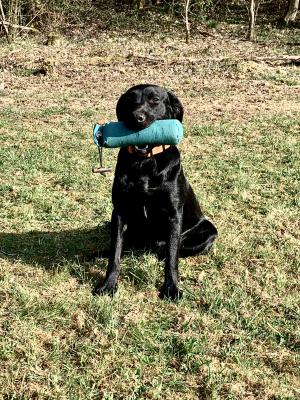 Ballantrae’s Single Malt Darcy