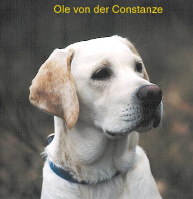 Ole von der Conatanze