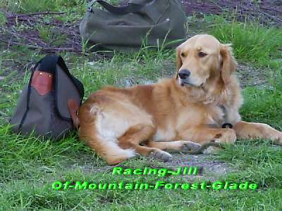 Racing Jill Of Mountain Forest Glade