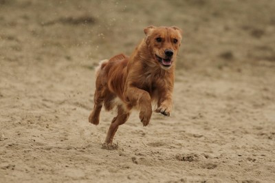 Head Over Heels Ruby Of Eager Spirit