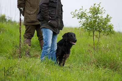 Share the Moments with Black Fjell