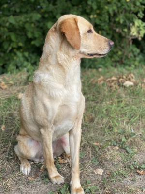 Fenna Kremer van het Haesdal (Lola)