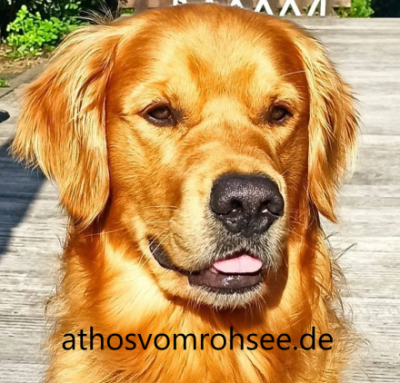 Athos vom Rohsee