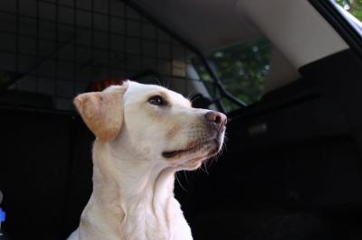 Erdnukkel's Jackpot Penny