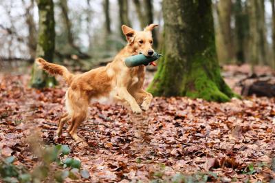 Blanc de Noir from Zwalus Estate